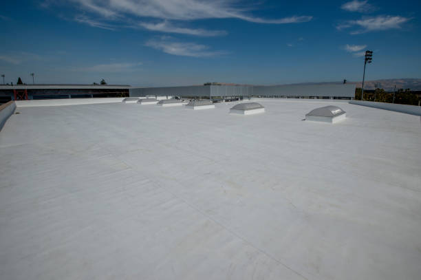 Best Roof Insulation Installation  in Summit, MS