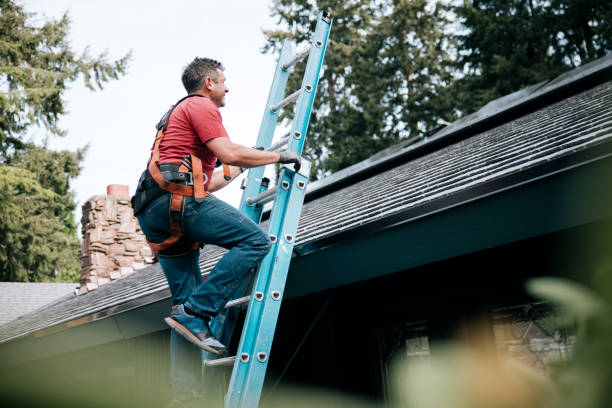 Best Roof Ventilation Installation  in Summit, MS